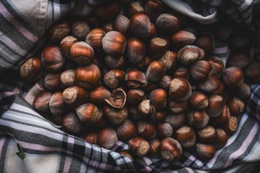 Rustic Hazelnuts Displayed on a Traditional Tartan Fabric Design clipart