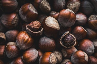 A detailed close-up of hazelnuts showcasing their natural brown textures and smooth shells, perfect for food photography, autumn concepts, or background designs clipart