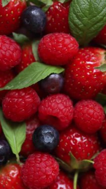 Taze Çilek, Ahududu, Yabanmersini ve Nane Yaprakları 'nın Renkli Doğal Ayarlarda Yakın Çekim Videosu