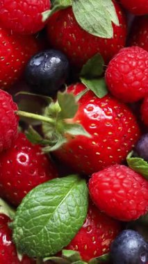 Taze Çilek, Ahududu, Yabanmersini ve Nane Yaprakları 'nın Renkli Doğal Ayarlarda Yakın Çekim Videosu