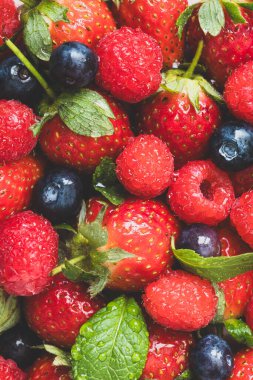 Olgun çilek, ahududu, yaban mersini ve taze nane yapraklarının karışımı. Renkli, ferahlatıcı ve sağlıklı meyve kombinasyonu yemek ve sağlıklı yaşam için mükemmel..