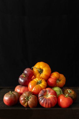 Değişik şekillerde, renklerde ve boyutlarda domatesler koyu bir arkaplanda düzenlenmiştir..