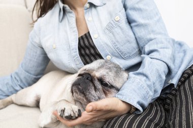 10 yaşındaki köpeğiyle kucağında oturan kadın nazikçe köpeğinin patisini tutuyor..