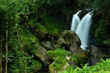 Pah Dok Sieo şelalesinin üst manzarası Kademe 10, Chiang Mai, Tayland