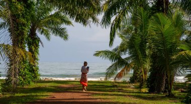 Tayland Chumphon bölgesinde palmiye ağaçları ve hindistan cevizi ağaçları olan egzotik ve vahşi manzaralar, trafik ve kalabalık olmayan turistler tarafından sıklıkla görülmez..