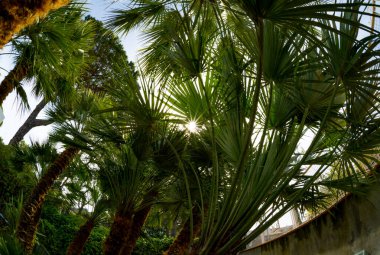 24 Nisan 2022 - Anacapri İtalya manzarası Arkadaki mavi gökyüzü ve deniz