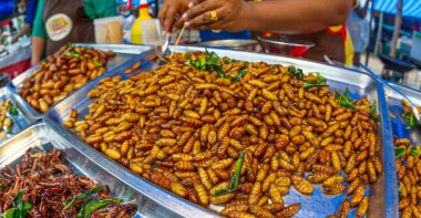 January- 20- 2023- Chumphon Thailand, market where insects and insect larvae, crickets, locusts and other insects are sold on the stalls of peasants.