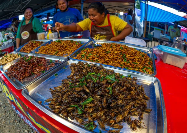 stock image January- 20- 2023- Chumphon Thailand, market where insects and insect larvae, crickets, locusts and other insects are sold on the stalls of peasants.