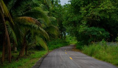 Tayland Chumphon bölgesinde palmiye ağaçları ve hindistan cevizi ağaçları olan egzotik ve vahşi manzaralar, trafik ve kalabalık olmayan turistler tarafından sıklıkla görülmez..