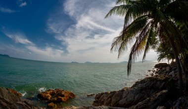 Beautiful Chumphon National Park landscape in Thailand, palm trees.