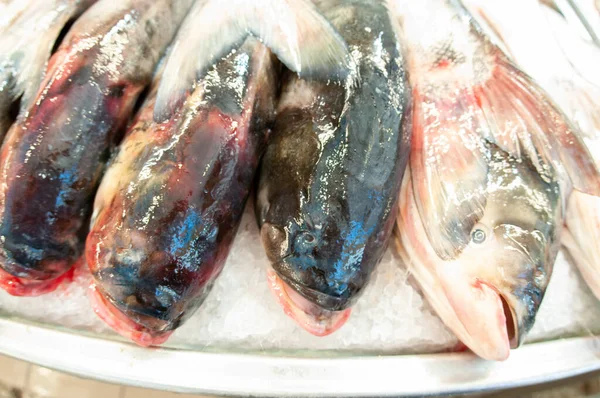 Peixes Frescos Retirados Aquário Para Venda Mercado Dos Peixes — Fotografia de Stock