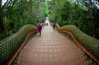 20 Şubat 2023 - Chiang Rai Tayland-Tayland-Tayland Tapınağı girişinde yeşil pullu ejderha gövdesi şeklinde parmaklıklar ile görüldü.