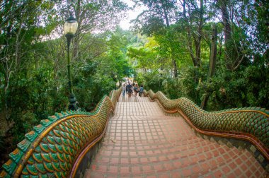 20 Şubat 2023 - Chiang Rai Tayland-Tayland-Tayland Tapınağı girişinde yeşil pullu ejderha gövdesi şeklinde parmaklıklar ile görüldü.