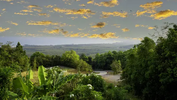 stock image Spectacular landscape in Malaysia from the top of a mountain with yellow clouds in the background