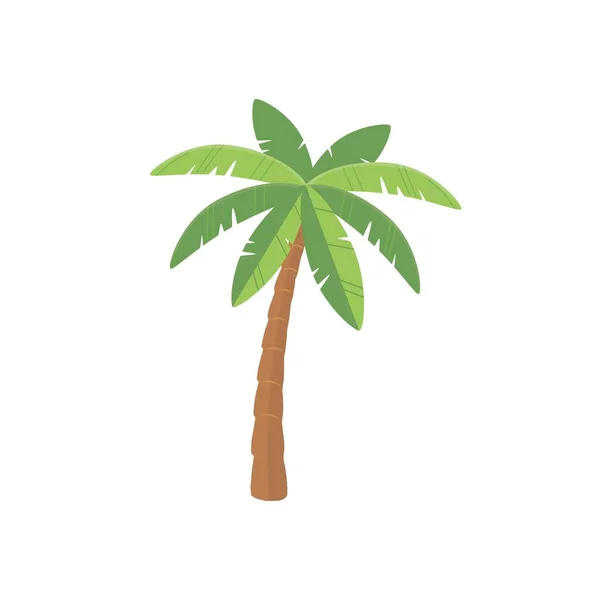 Palm Tree Vector Isolated White Background — Stock Vector