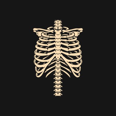 Göğüs kemiği. Korku ya da Cadılar Bayramı için tişört baskısı. El çizimi resmi siyah arkaplanda izole edildi