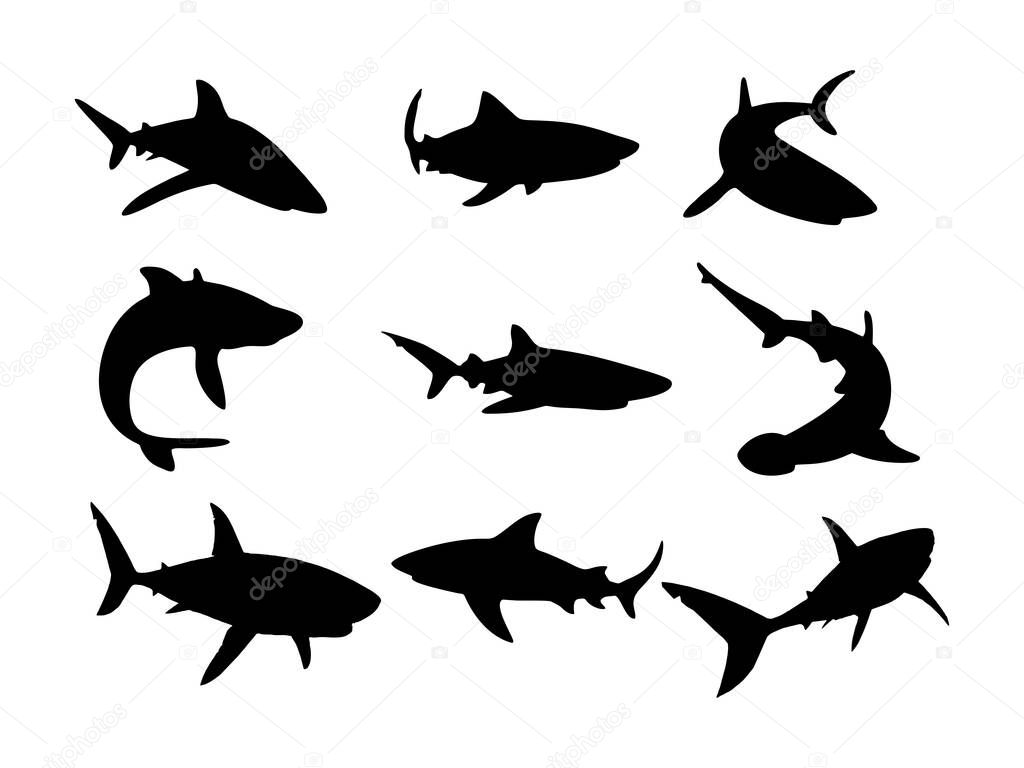 Black silhouette set of shark with mouth closed in different poses