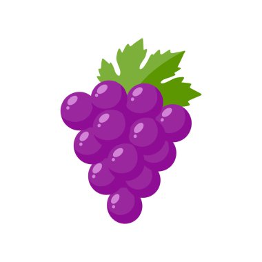 Yeşil yapraklı mor üzümlerin düz vektör çizimi