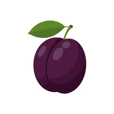 Yeşil yapraklı erik, düz bir vektör tarzıyla çizilmiş..