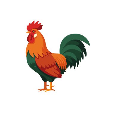 Beyaz arkaplanda izole horoz düz vektör illüstrasyonu