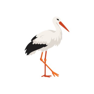 Beyaz gövdeli leylek, uzun turuncu bacaklar, siyah uçlu kanatlar, düz vektör stiliyle gösterilmiş.