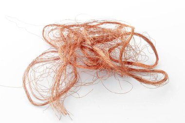 Bir ağ kablosunun karmaşık bakır iplikleri, beyaz arkaplanda