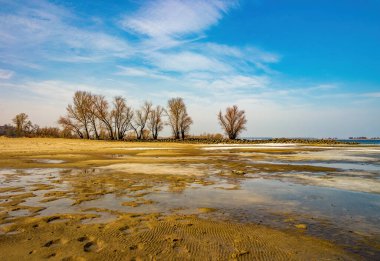 Bottom sand during discharge of water on the Dnieper river, Cherkasy, Ukraine at early spring day. Bare trees on stone dam