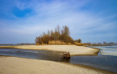 Bottom sand during discharge of water on the Dnieper river, Cherkasy, Ukraine at early spring day. Bare trees on island. Melting ice