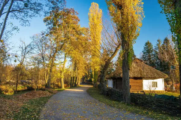 Rural Autumn Landscape Winding Dirt Road Traditional Ukrainian House Thatched — Stock Photo, Image