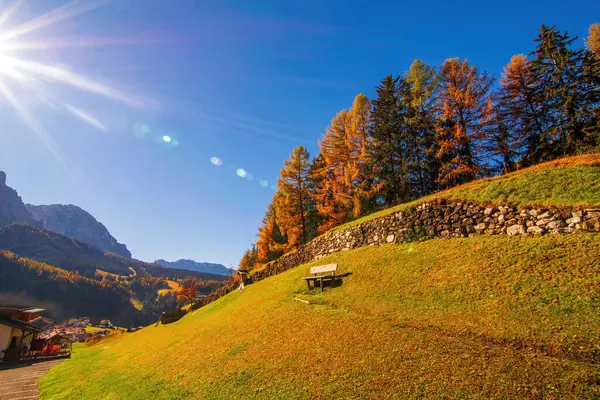 Beautiful Autumn Landscape Dolomite Alps Val Gardena Italy Hillside Yellowed — Stock Photo, Image