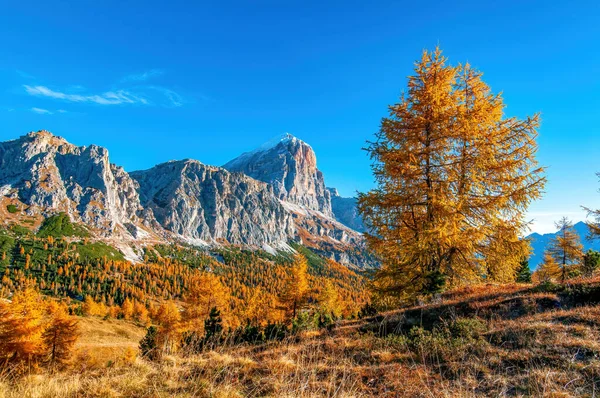 Wunderschöne Herbstkulisse Der Italienischen Dolomiten Tofane Gebirge Und Goldene Lärche — Stockfoto