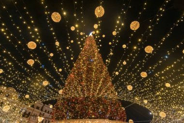 Büyük bir Noel ağacının büyüleyici görüntüsü, altın ışıklar ve dekorasyonlarla süslenmiş, sıcak ve şenlikli bir atmosfer yaratıyor.