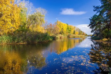 Sonbahar boyunca sakin bir nehir manzarası. Altın yapraklar, berrak mavi gökyüzü ve suyun yansımaları. Huzurlu bir ortamda doğanın güzelliğini yansıtıyor.