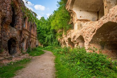 Ukrayna 'nın Tarakaniv Kalesi' nin çökmüş kemerleri ve sarmaşık kaplı duvarları arasında toprak bir yol esiyor. Yeşillik, yıpranmış tuğla işiyle çelişiyor. Terk edilmiş güzelliğin atmosferik bir manzarası yaratıyor..