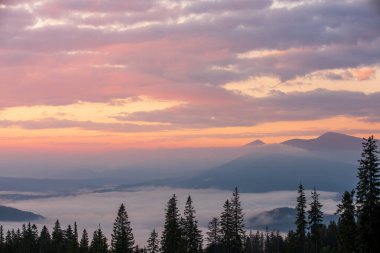 Ukrayna 'nın Karpat dağlarında görkemli bir gün doğumu. Yanan bir gökyüzü. Alçak sis dağ vadisini kaplıyor.