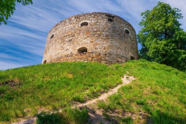 Terebovla Kalesi 'nin dairesel taş kulesi yemyeşil bir tepenin tepesinde tünemişti. Ağaçlarla çevrili ve kirli bir patikayla erişilmiş mavi gökyüzüne karşı tarihi kalenin kalıntıları.