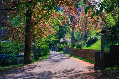 Slovenya, Bled Gölü yakınlarındaki renkli ağaçlarla parkta yürüyen iki turist