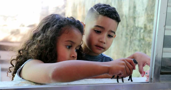 Μικρά Παιδιά Που Παίζουν Παιχνίδια Μικρά Αδέλφια Παίζουν Παιχνίδι Ισπανόφωνοι — Φωτογραφία Αρχείου