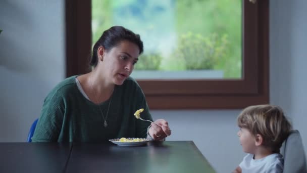 Çocuk Öğle Yemeği Masasında Oturan Bir Çocuğun Önünde Ağlıyor Vuruyor — Stok video