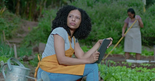 A pensive black woman at urban farm holding tablet. Thoughtful African American female person at local small business farm