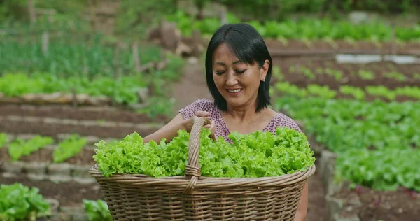 Uma Mulher Asiática Americana Feliz Campo Verde Com Fazenda Local — Fotografia de Stock