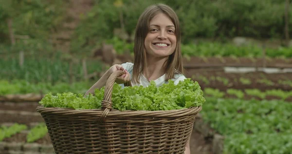 Jovem Mulher Feliz Segurando Cesta Alfaces Orgânicas Verdes Fazenda Local — Fotografia de Stock