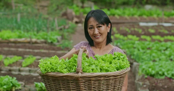 One Happy Asian American woman standing in green field with local farm in background. portrait of a smiling local small business owner showing food produce
