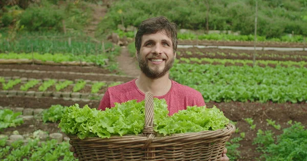 Portrait of a young man holding basket of organic lettuces standing in local farm smiling at camera. Food and sustainability concept