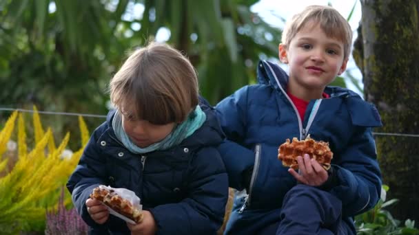 Verspielte Brüder Die Draußen Belgische Waffeln Essen Zwei Kleine Jungen — Stockvideo