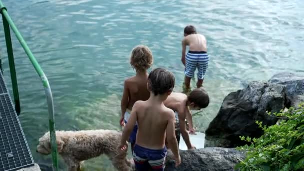Маленькие Мальчики Озера Время Отпуска Дети Наслаждаются Природой Открытом Воздухе — стоковое видео