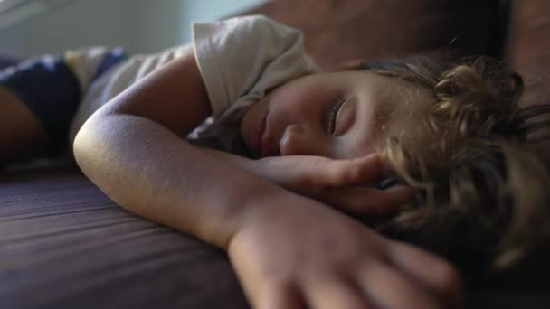 眠っている子供のソファ昼寝に横たわっている 午後の昼寝中に深い眠りに子供 かわいい疲れた男の子休んで — ストック動画