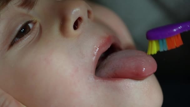 歯ブラシで子供の舌をきれいにする 子供の口の歯科衛生 1泊分のルーチン 幼児の舌を磨く親 — ストック動画