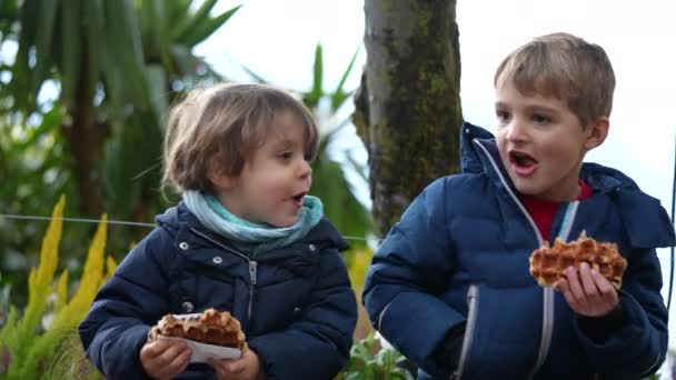 两个可爱的兄弟在吃波吉安华夫饼冬季在户外吃街头食物的儿童 — 图库视频影像