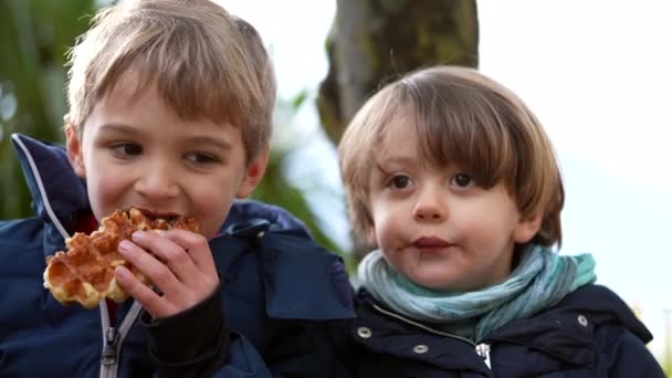 Deux Mignons Frères Qui Mangent Des Gaufres Belges Enfants Grignotant — Video